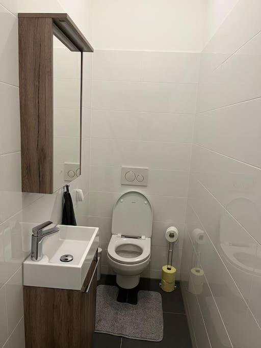 New Design Wohnung-wien